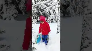 Стихотворение о зиме