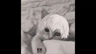 механик обул мента в чешки.mp4