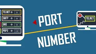 Port Number - Animated