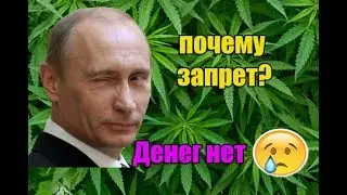 Почему в России запрет на травку / марихуану   и кому это выгодно