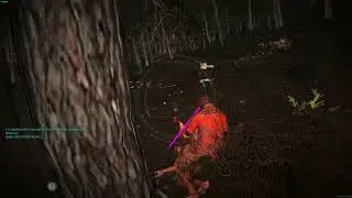 Catch A Cheater SCUM GAME 28/02/2024 ESP  EP 2