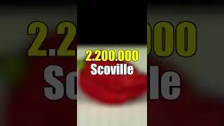 Die schärfste Chili der Welt! Carolina Reaper