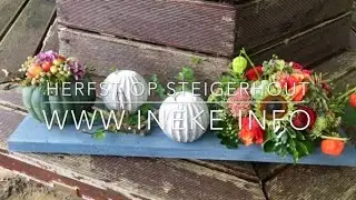 Herfst op steigerhout