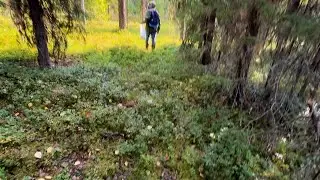My hair is standing on end! The mushroom hunt ended abruptly