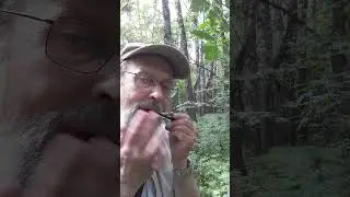 Русская народная песня на варгане "Лидер" Сергея Пыжова
