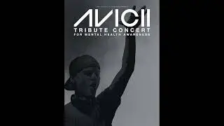 Avicii - Levels