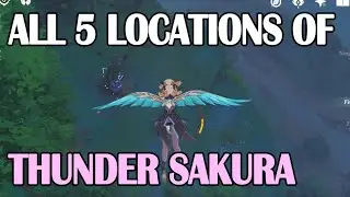 [World Quest] Sakura Arborism | All Five Thunder Sakura Locations [Genshin Impact Guide]