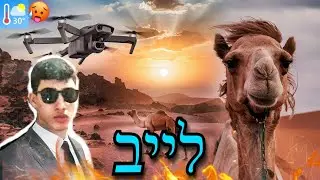 עונה  חדשה