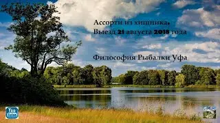 Троллинг. Ловим хищника  Выезд 21 08 2018 г