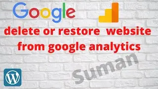 How to delete or restore  website from google analytics