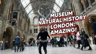 Visiting Natural History Museum di London: Keren dan Amazing BANGET! Ada Fosil Dinosaurus!