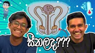 වෘෂණ කෝශ සීතල ඇයි? | Competition | Biology & Physics | Advanced level | Medical students