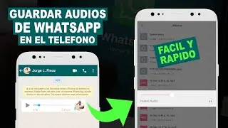 How to save WhatsApp audios quickly and easily on your phone