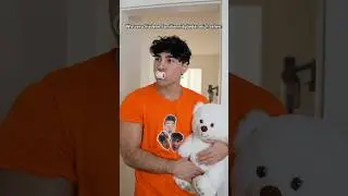 Wie Familienmitglieder mich sehen😂AlpaySanti 