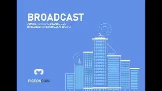 Pigeoncoin Live Q&A - News, Updates, and More - 26 May 2018