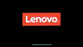 Lenovo Thinkpad T480s | to interrupt normal startup press enter