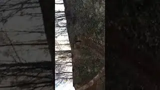 БМХ Fail