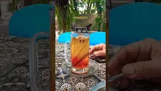 BIR PLETOK #hiburan #shorts #short #minuman #ramuantradisional