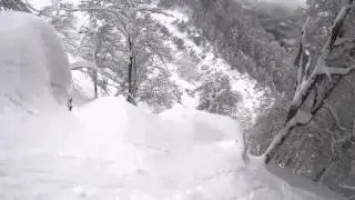 красная поляна, роза хутор. 14.01.16