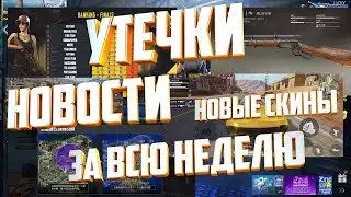 Утечки. Новинки. Новости Киберспорта Пубг Мобайл. За Последнюю  Неделю