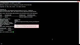 Using expdp To Export From Physical Standby Database.avi