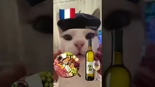 French Cat vs. Chinese Cat 🇫🇷🇨🇳