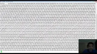 Exploit Research Megaprimer Part 5 Freesshd Buffer Overflow