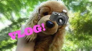 Webkinz Photoshoot Vlog!