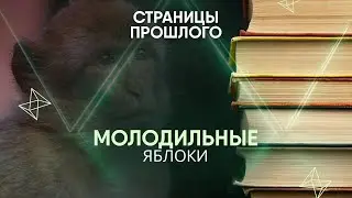 Молодильные яблоки: зачем хирург-авантюрист пересаживал своим пациентам тестикулы обезьян?