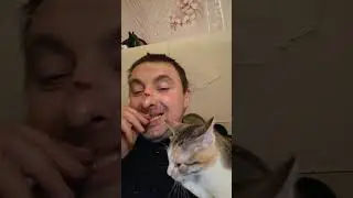 прикол!