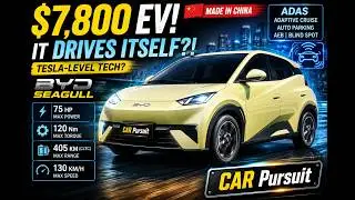 This $7,800 Chinese EV Has Technology From Expensive Cars 🇨🇳