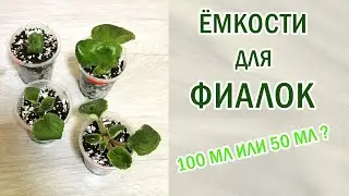 Ёмкости для фиалок. Стоит ли брать 