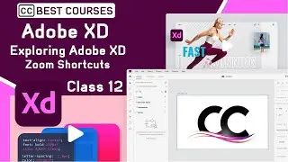 Zoom Shortcuts Exploring Adobe XD Class 12