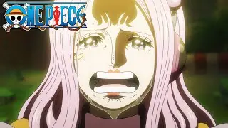 Le secret de Bonney | One Piece