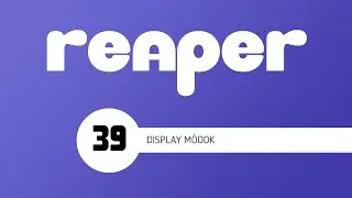 REAPER TUTORIAL 39 - DISPLAY MÓDOK