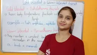 ## Cold blooded (Poikilotherms ) and warm bloooded ( Homeotherms ) animals ##