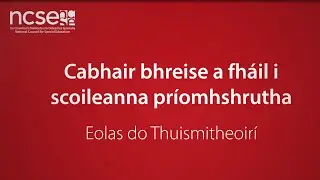 Cabhair Bhreise a Fháil i Scoileanna Príomhshrutha - Gaeilge