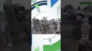 Самые резонансные фейки