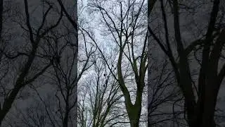 Berlin 8.03.2023