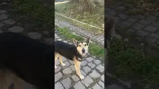 Сусід!