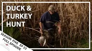 Hunting Aotearoa Series 5 EP23 Turkey and Duck hunting