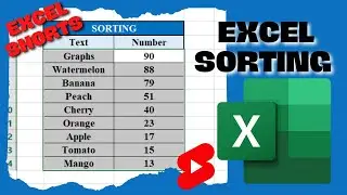 How To Sort Data In Excel | Data Sorting In Excel | Sorting Shortcut