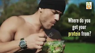 Vegan Promo