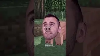 The Life of a Minecraft Pig
