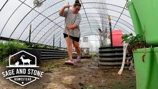Storms, Swarms, New Bunnies & Tail Tattoos! | Homesteading VLOG