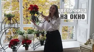 Подставки для цветов на окно ✔️ Цветы на подоконнике