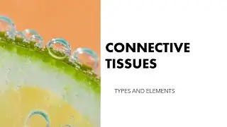 LESSON ON THE TYPES AND ELEMENTS OF CONNECTIVE TISSUE