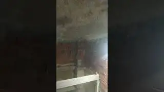 оголил кирпичный купол