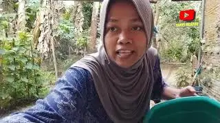 bikin pipis budin makanan jadul