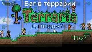 Баг в террарии